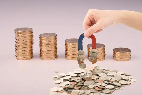 黄豆罐头美食做法