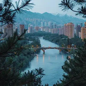 老外乳鸽美食做法