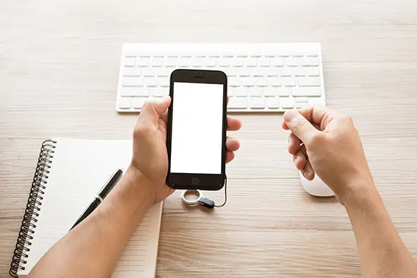 美食泡萝卜做法